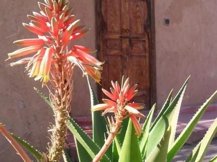 Pensão Dar Achorafa