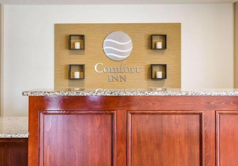 酒店 Avisa Downtown