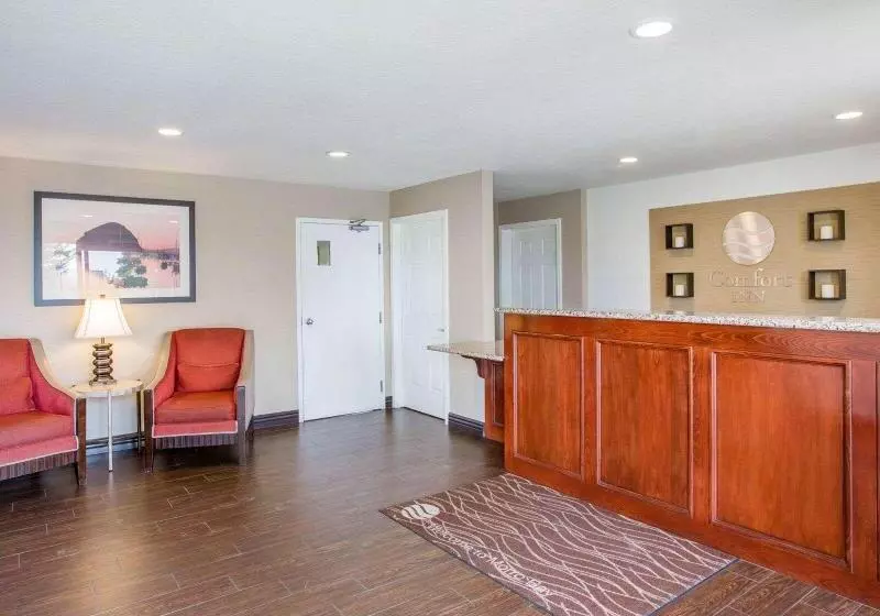 酒店 Avisa Downtown