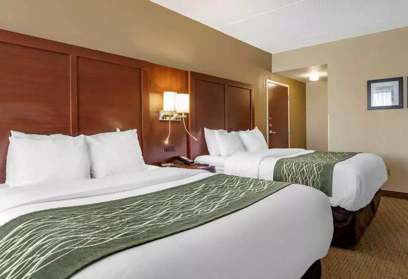 Отель Comfort Inn Warren