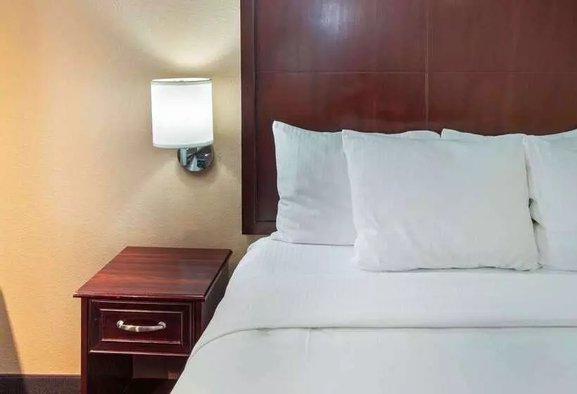 Hotelli La Quinta By Wyndham Albuquerque Midtown Newly Renovated