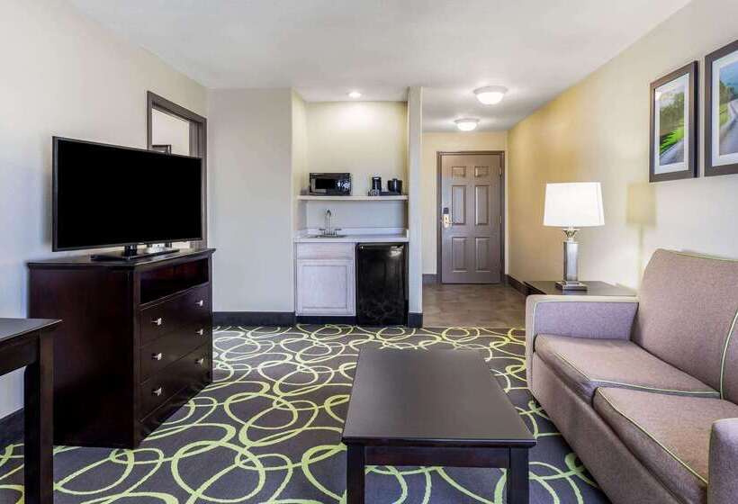 Отель La Quinta By Wyndham New Braunfels