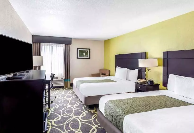 ホテル La Quinta By Wyndham New Braunfels