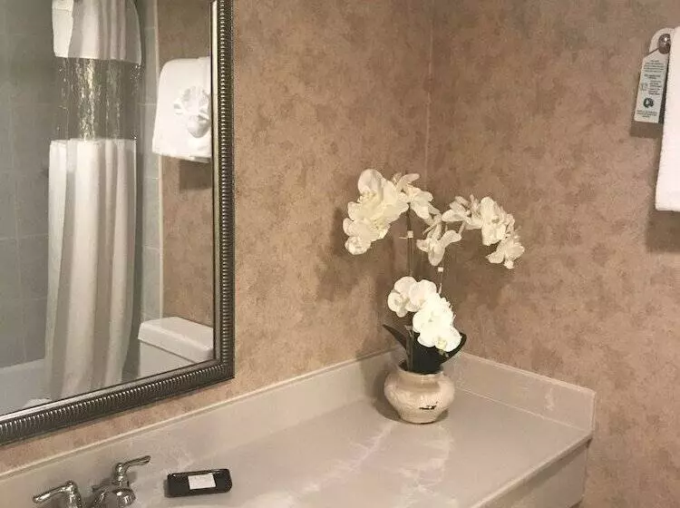 ホテル Lakeview Golf Resort