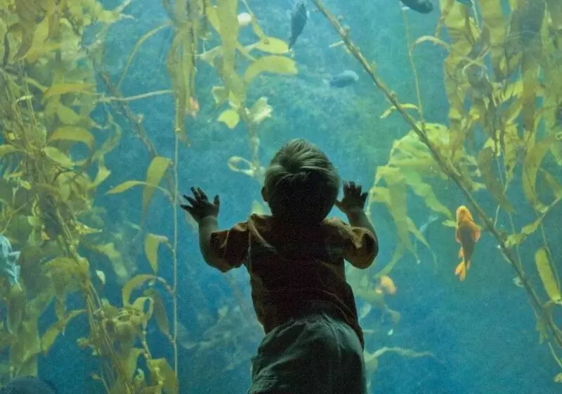 호텔 San Diego Marriott Gaslamp Quarter