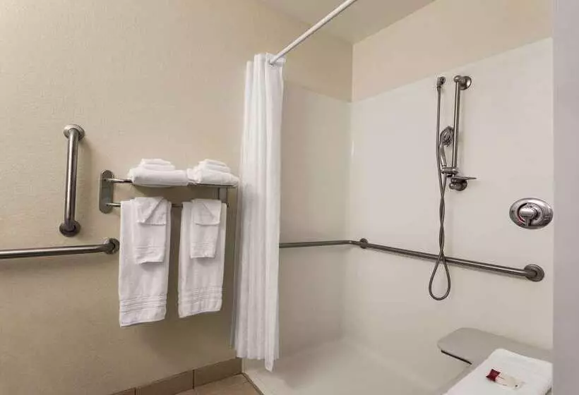 Microtel Inn & Suites By Wyndham Inver Grove Heights/minneap