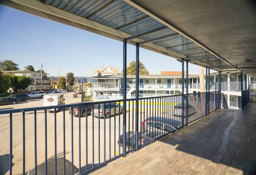 汽车旅馆 Salt Air Lodge