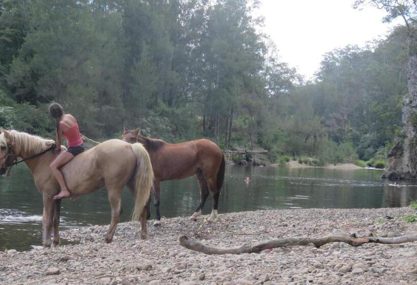 Albergue Beachside Backpackers