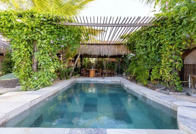 Bed and Breakfast Coco Knots Kite   Ilha Do Guajiru