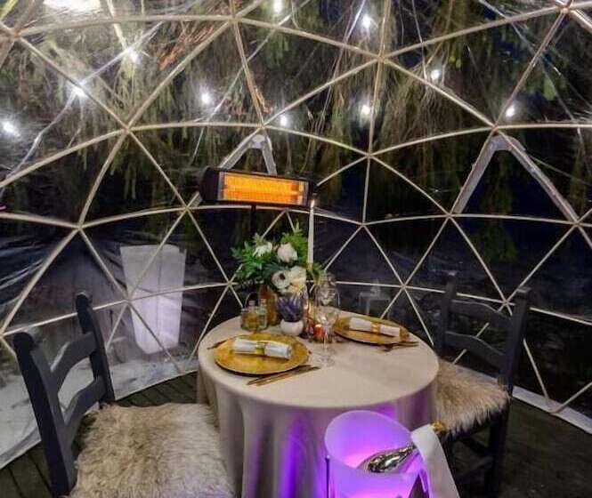 酒店 Elexus Boutique