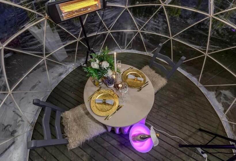 酒店 Elexus Boutique