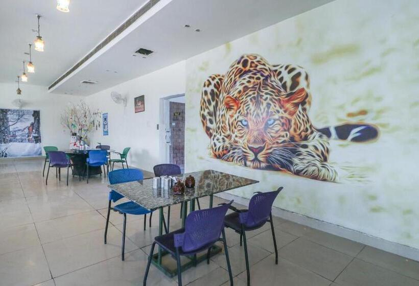 בית מלון כפרי Mg Mehak Garden