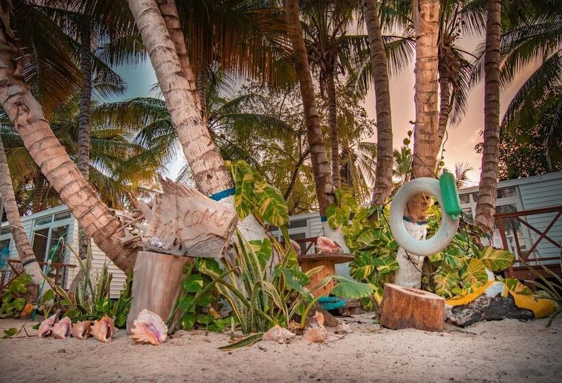 Отель Reina Del Mar By Dorado