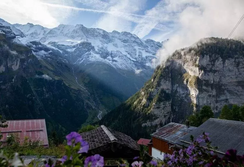 Mountain Hostel Gimmelwald