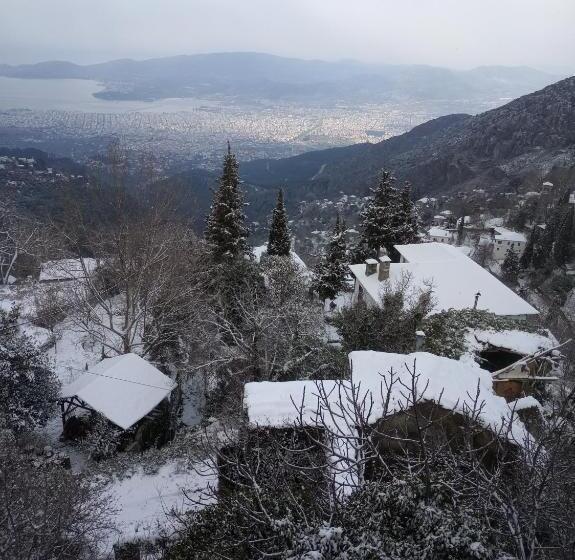 펜션 Kirmilis Mansion