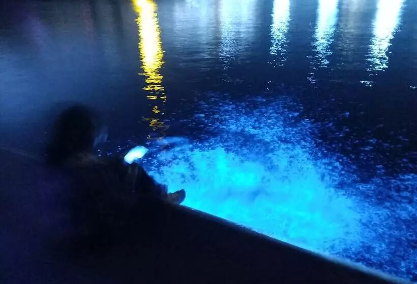 هاستل Yes, Sir Homestay 2