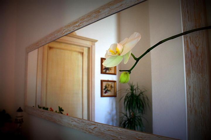 민박 Il Melograno Di Nora