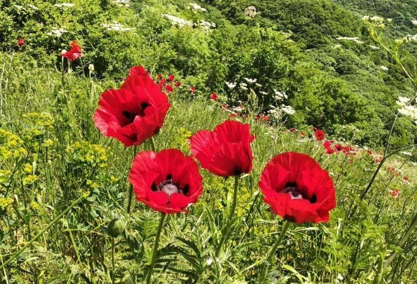 Hostel Buddha Khajuraho