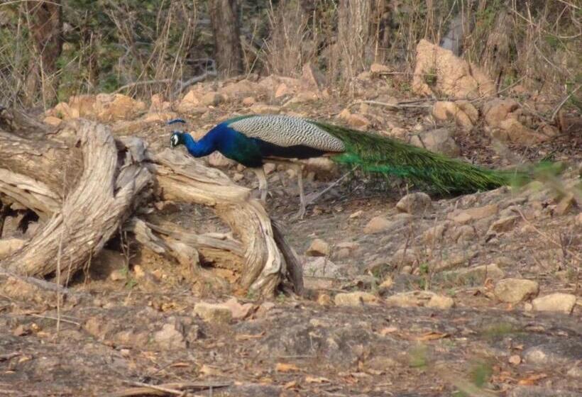 Hostel Buddha Khajuraho