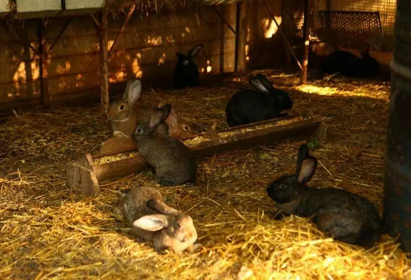 ホテル Agriturismo Il Pozzo