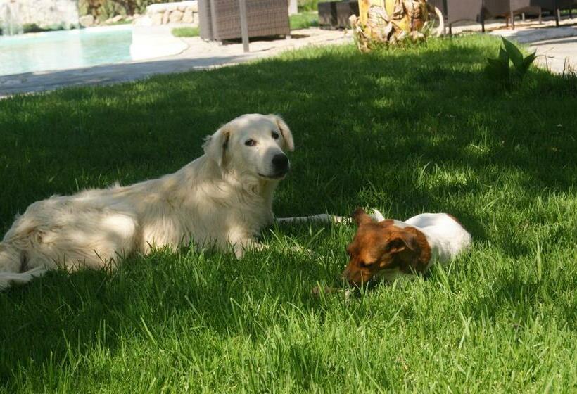 Отель Agriturismo Il Pozzo