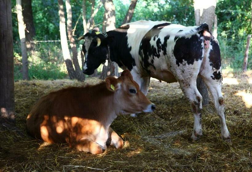 Отель Agriturismo Il Pozzo