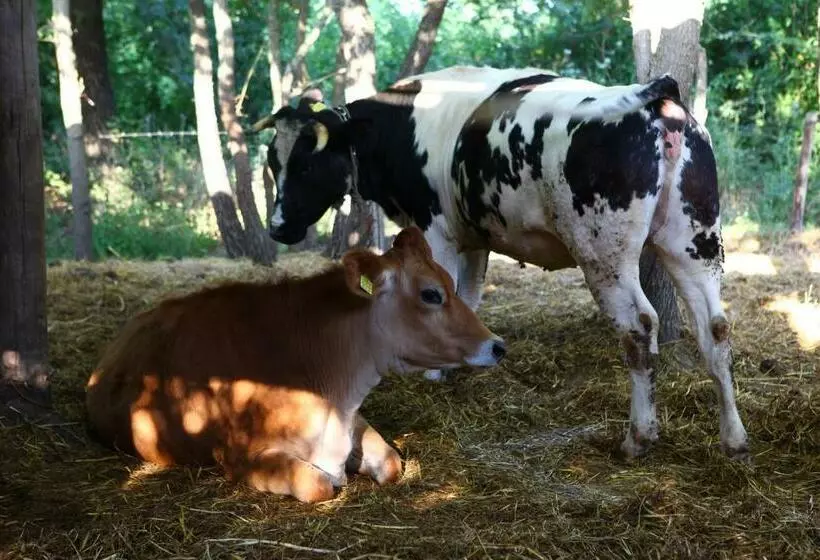 ホテル Agriturismo Il Pozzo