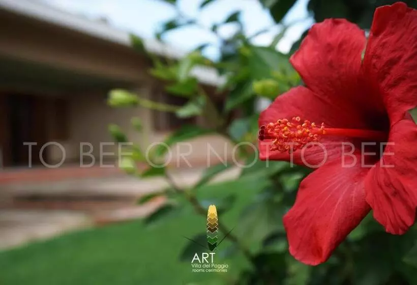 پانسیون Art Villa Del Poggio