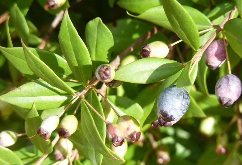 膳宿费 Art Villa Del Poggio