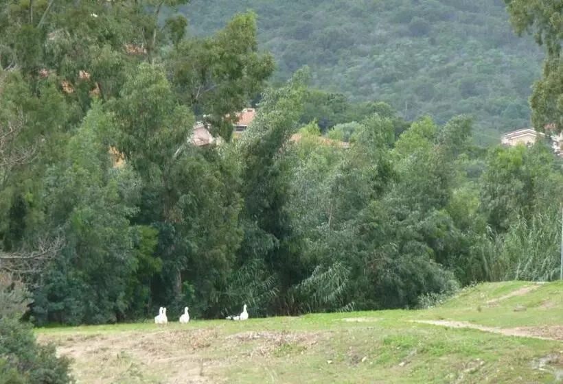 پانسیون Art Villa Del Poggio
