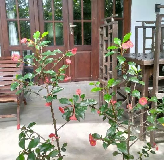 ペンション Avenra Cottage