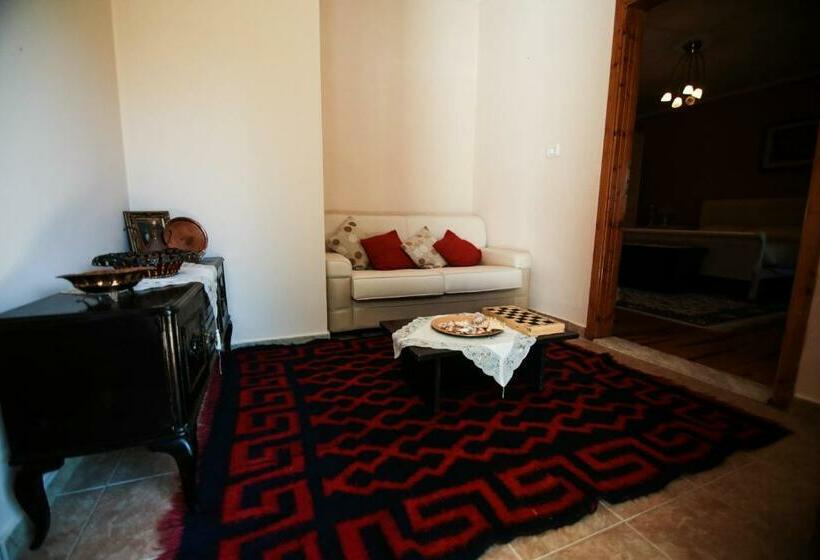 펜션 Bujtina Leon's Apartments