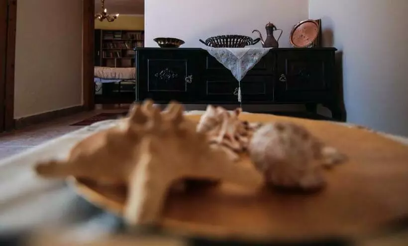 ペンション Bujtina Leon's Apartments