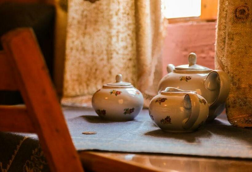 펜션 Bujtina Leon's Apartments