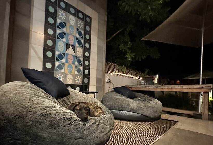 Bed and Breakfast Baja House