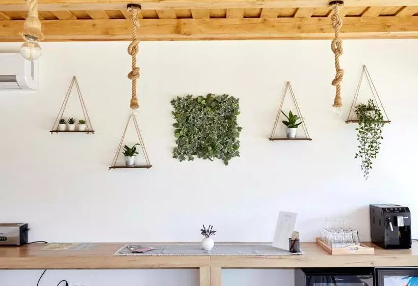 ベッドアンドブレックファースト Naturella Panzió