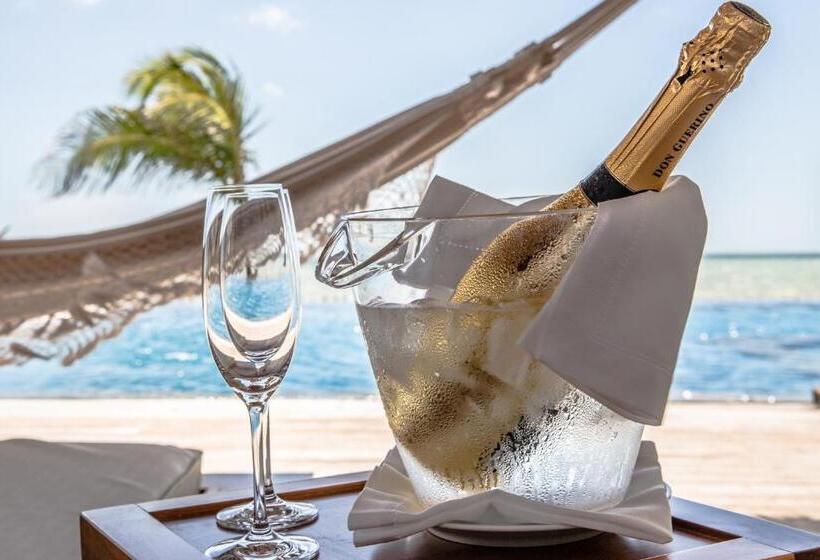 בית מלון כפרי Kabana