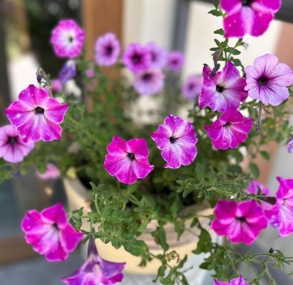 هتل Ristorante Mariuccia Varese