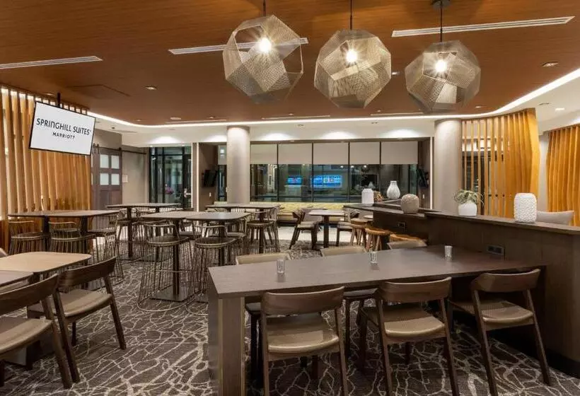 Hotelli Springhill Suites Minneapolis Maple Grove/arbor Lakes
