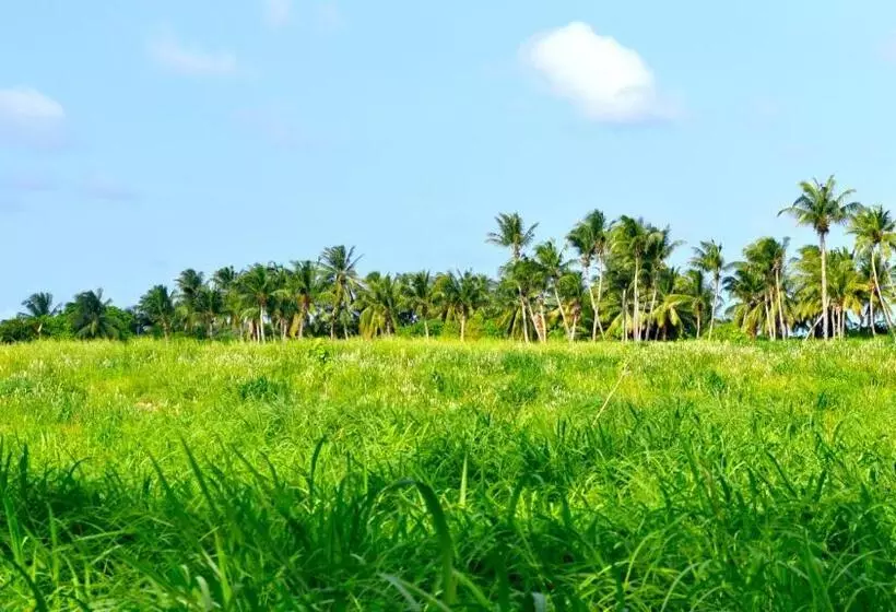 پانسیون Holiday Cottage Thoddoo, Maldives