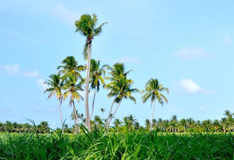 پانسیون Holiday Cottage Thoddoo, Maldives