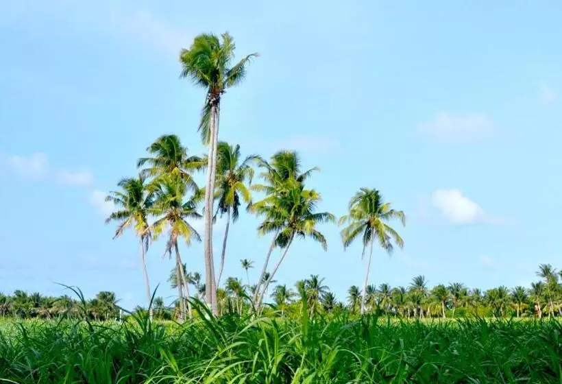 پانسیون Holiday Cottage Thoddoo, Maldives