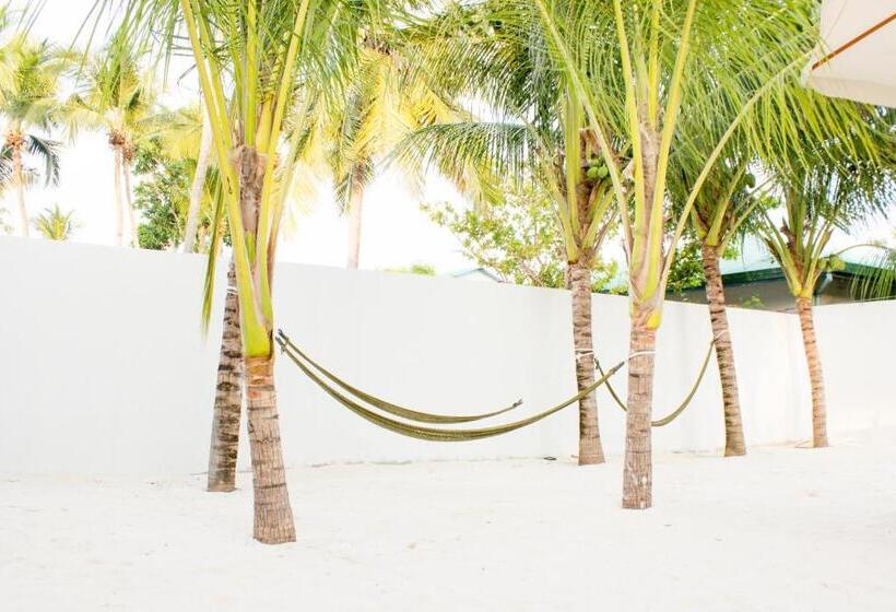 پانسیون Holiday Cottage Thoddoo, Maldives