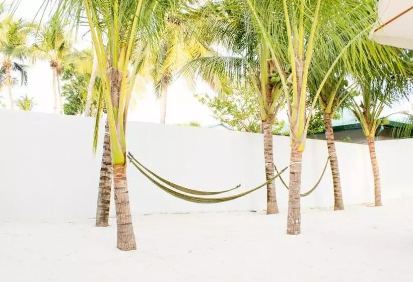 پانسیون Holiday Cottage Thoddoo, Maldives