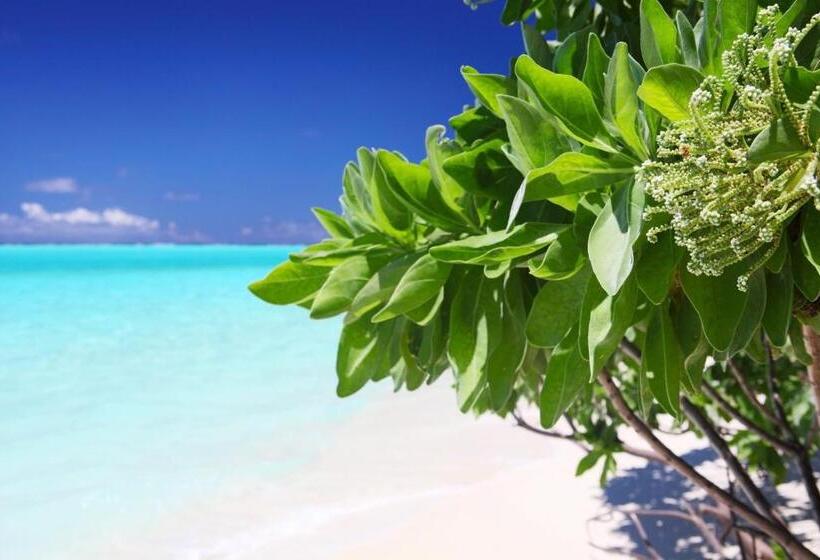 پانسیون Holiday Cottage Thoddoo, Maldives