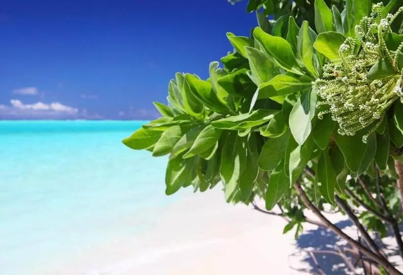 پانسیون Holiday Cottage Thoddoo, Maldives