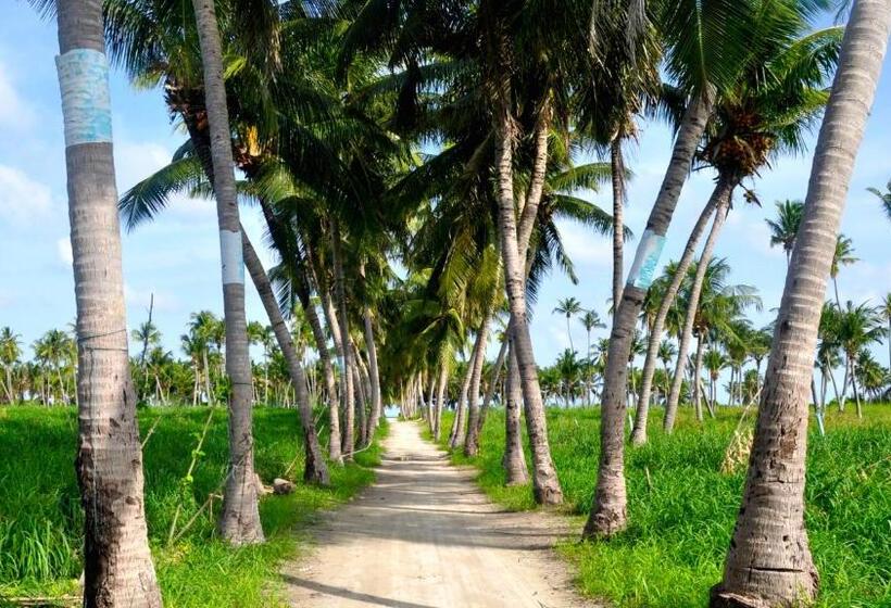 پانسیون Holiday Cottage Thoddoo, Maldives