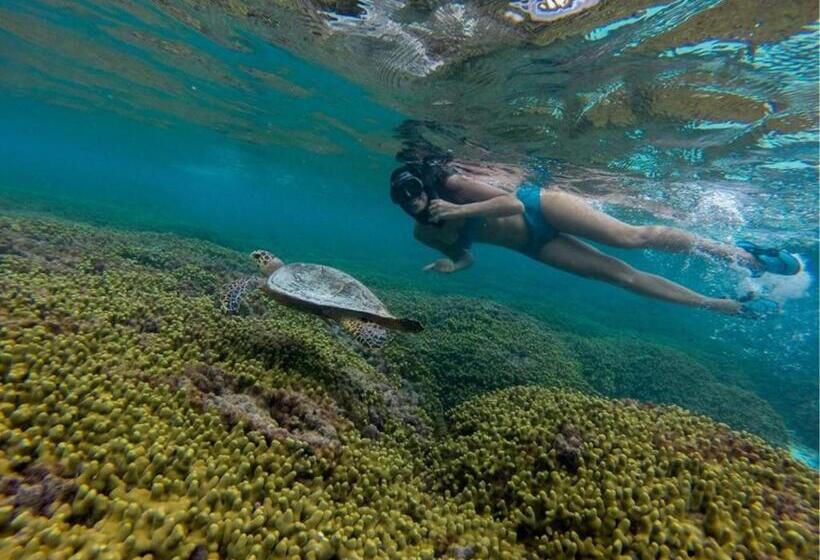 پانسیون Holiday Cottage Thoddoo, Maldives