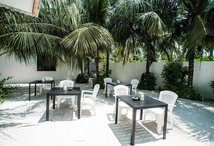 پانسیون Holiday Cottage Thoddoo, Maldives