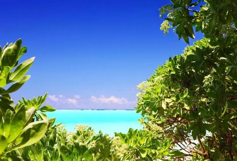 پانسیون Holiday Cottage Thoddoo, Maldives